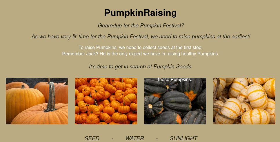 pumpkin raising homepage